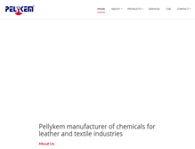 Tablet Screenshot of pelykem.com